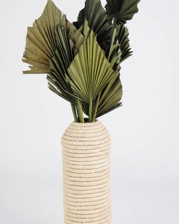 khaki palm spear