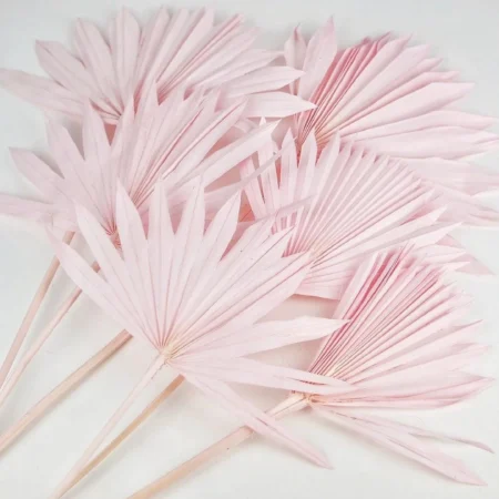 Palm Leaf Baby Pink