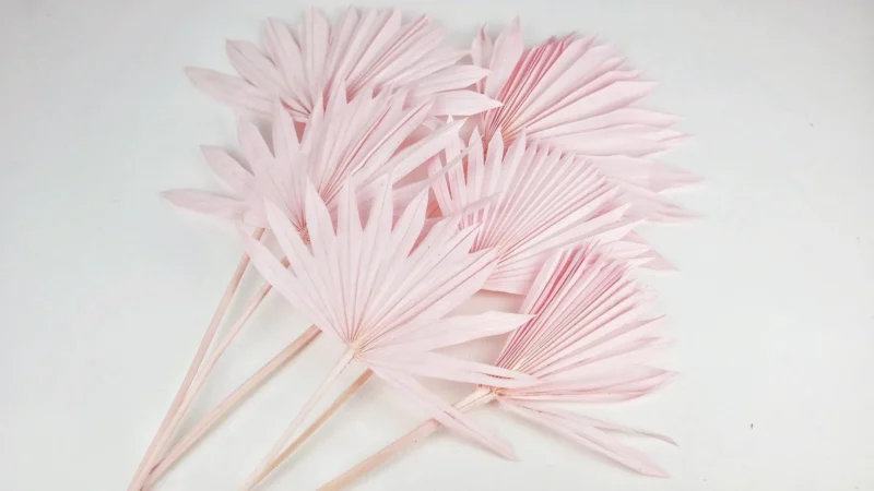 Palm Leaf Baby Pink