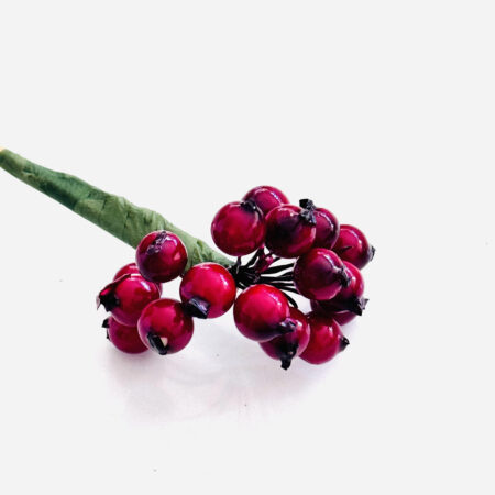 berry cluster on stem