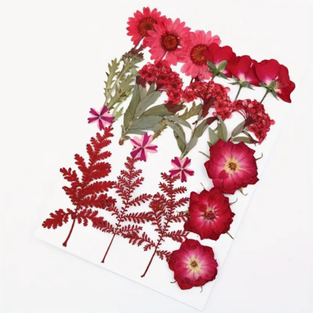 Mix Geperst Gedroogde Bloemen Rood Love 18st (2)